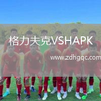 格力夫克VSHAPK