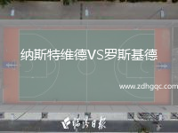 納斯特維德VS羅斯基德