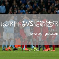 威爾伯特VS胡派達爾