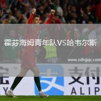 霍芬海姆青年隊(duì)VS哈韋爾斯