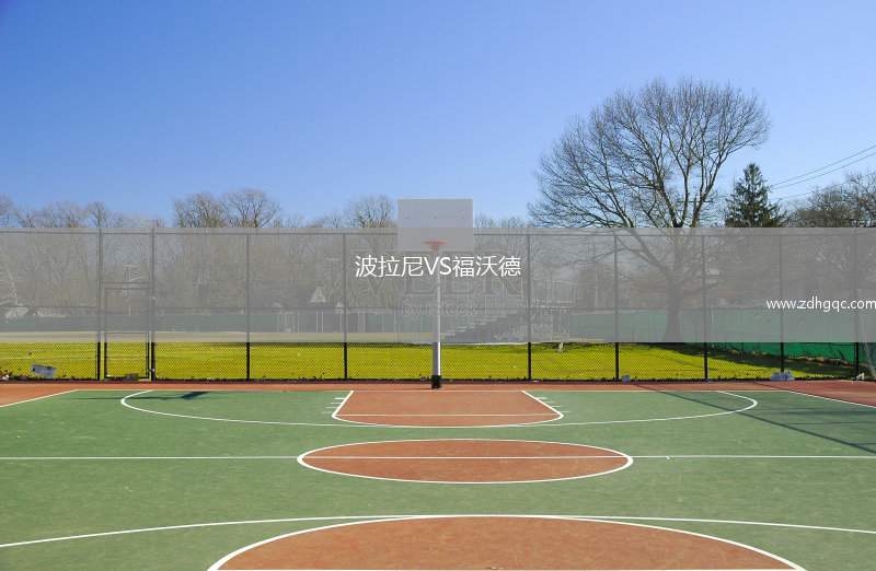 波拉尼VS福沃德