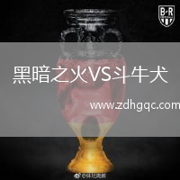 黑暗之火VS斗牛犬
