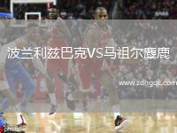 波蘭利茲巴克VS馬祖爾麋鹿