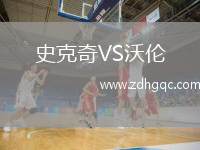 史克奇VS沃倫